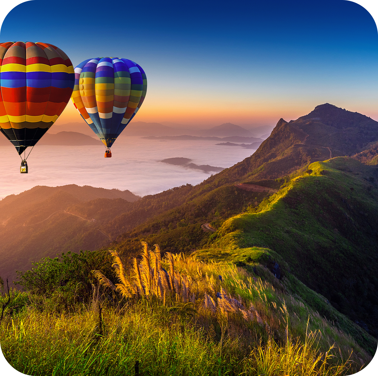 landscape morning fog mountains with hot air balloons sunrise