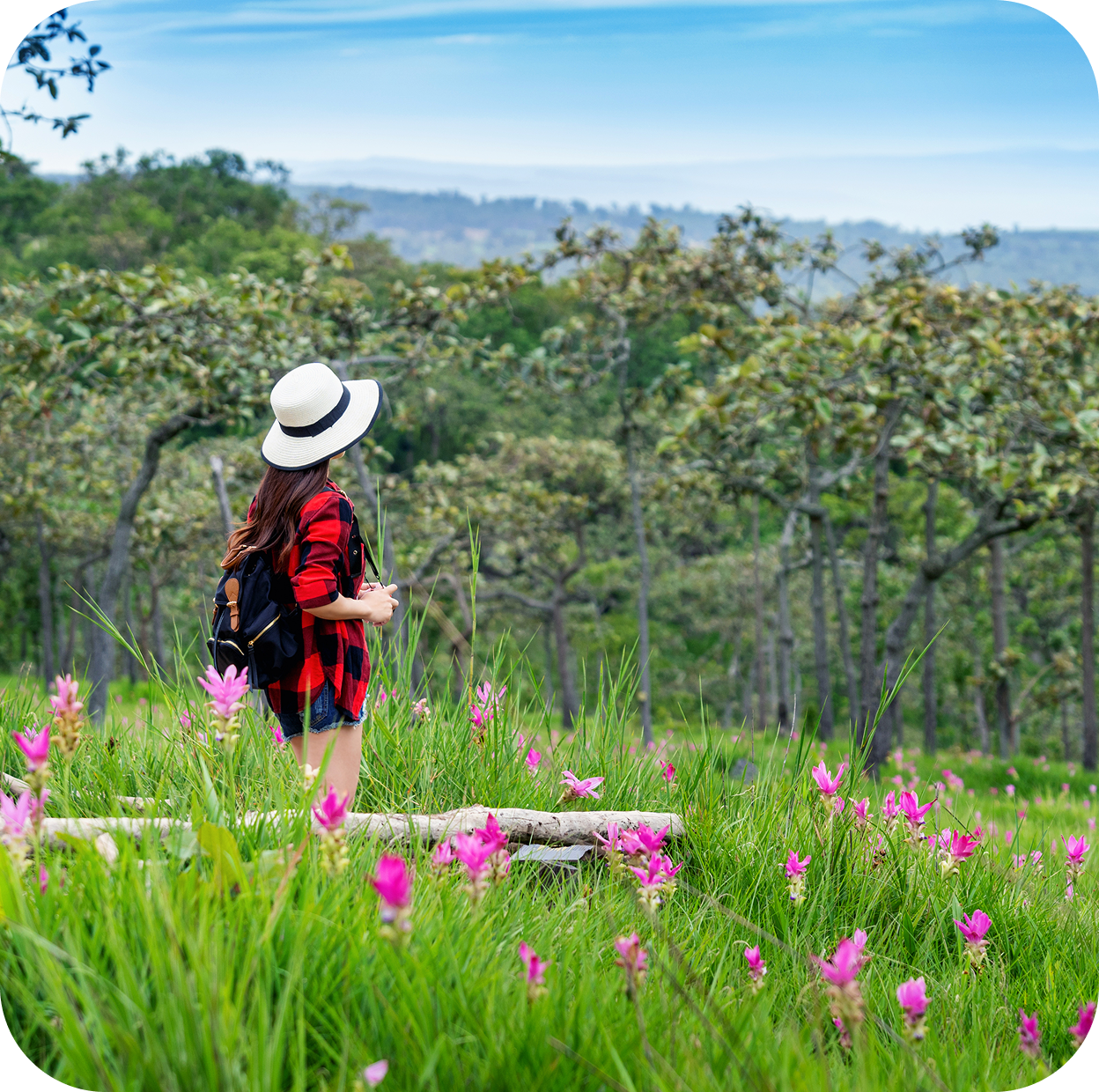 woman traveler with backpack enjoying krachiew flower field thailand travel concept